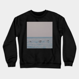 Gliding Crewneck Sweatshirt